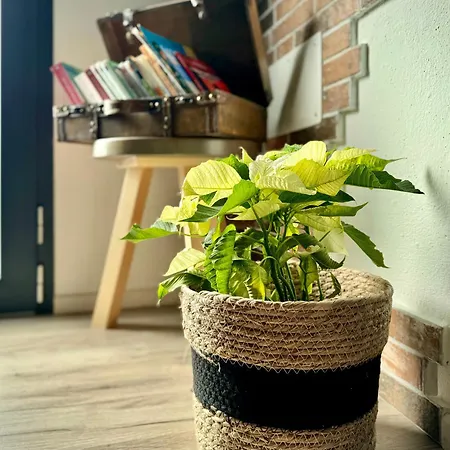 Guest house Civico36 Ilbono